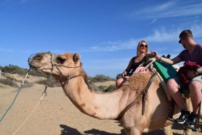 Maspalomas: Guided Camel Ride in the Maspalomas Sand Dunes - Finding the camel station from Charca Maspalomas (and not getting lost)