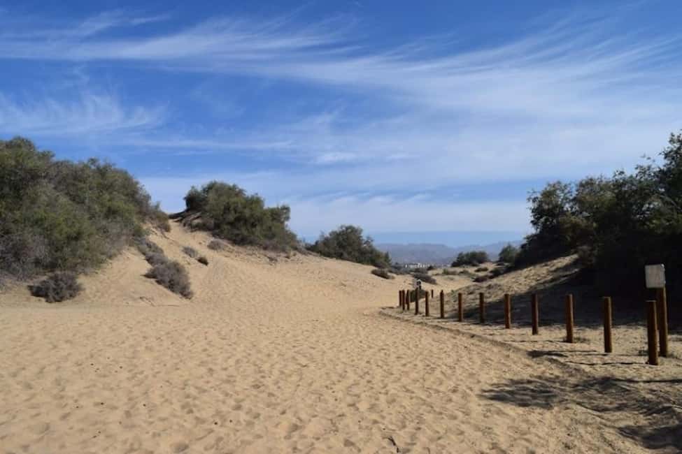Maspalomas: Guided Camel Ride in the Maspalomas Sand Dunes - The 30-minute dunes ride: what it’s like on the camel train