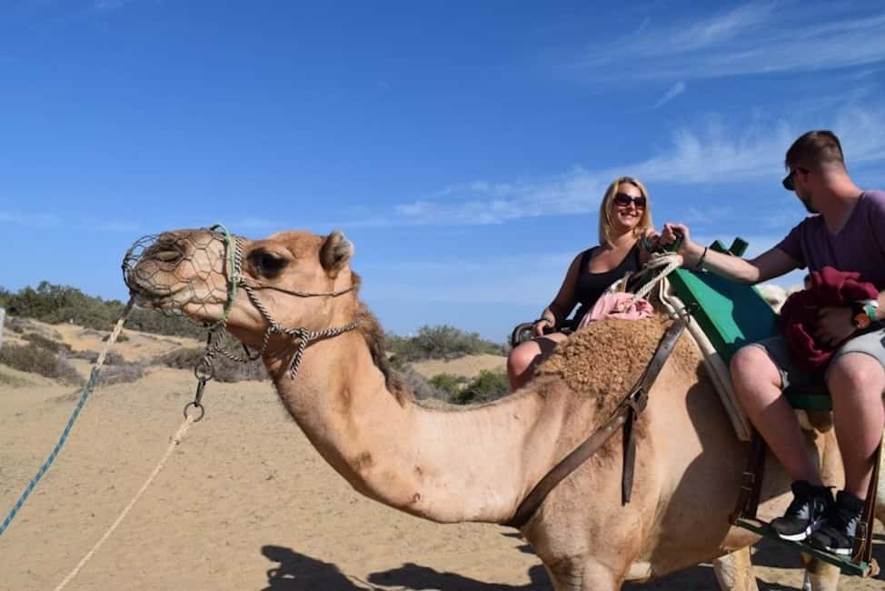 Maspalomas: Guided Camel Ride in the Maspalomas Sand Dunes - Finding the camel station from Charca Maspalomas (and not getting lost)