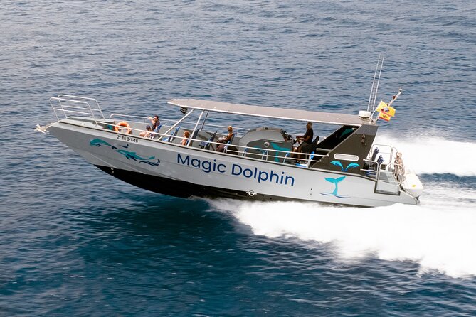 Morro Jable: 2 Hours Magic Dolphin & Whale watching with Drinks & Swim Stop. - Magic Dolphin Boat: How the 2 Hours in Morro Jable Really Works