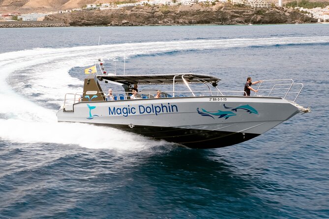 Morro Jable: 2 Hours Magic Dolphin & Whale watching with Drinks & Swim Stop. - Who Should Book This Tour in Morro Jable (and Who Might Skip It)