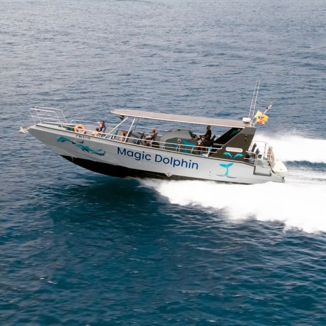 Morro Jable: Dolphin & Whale Watching Cruise, Drinks & Swim - Key highlights you’ll care about
