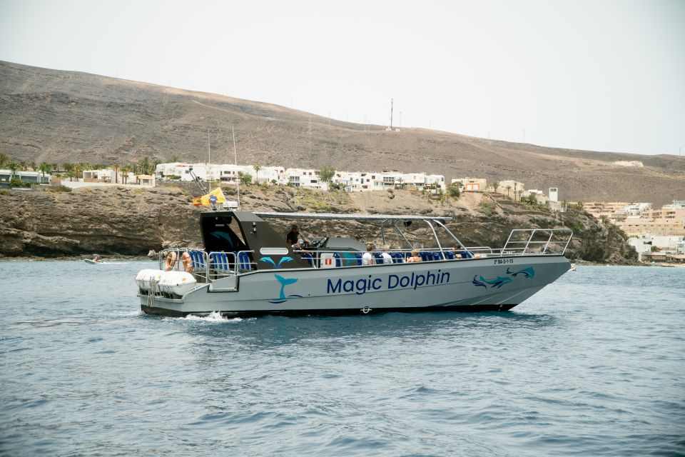 Morro Jable: Dolphin & Whale Watching Cruise, Drinks & Swim - Getting started at Morro Jable: the Magic Dolphin plan