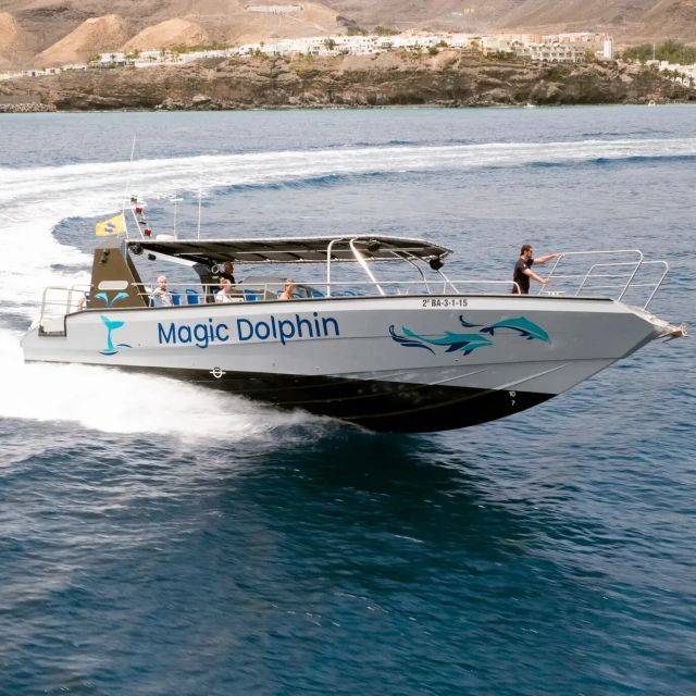 Morro Jable: Dolphin & Whale Watching Cruise, Drinks & Swim - Value check: is $58 worth a 2-hour cruise with drinks and a swim?
