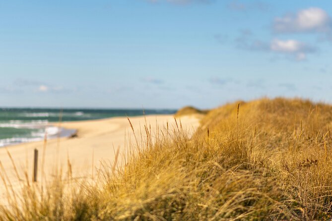 Nantucket Coast to Coast Self-Guided Biking or Driving Tour - The windmill, the Serengeti, and cranberry past—how the route tells the island’s in-between story