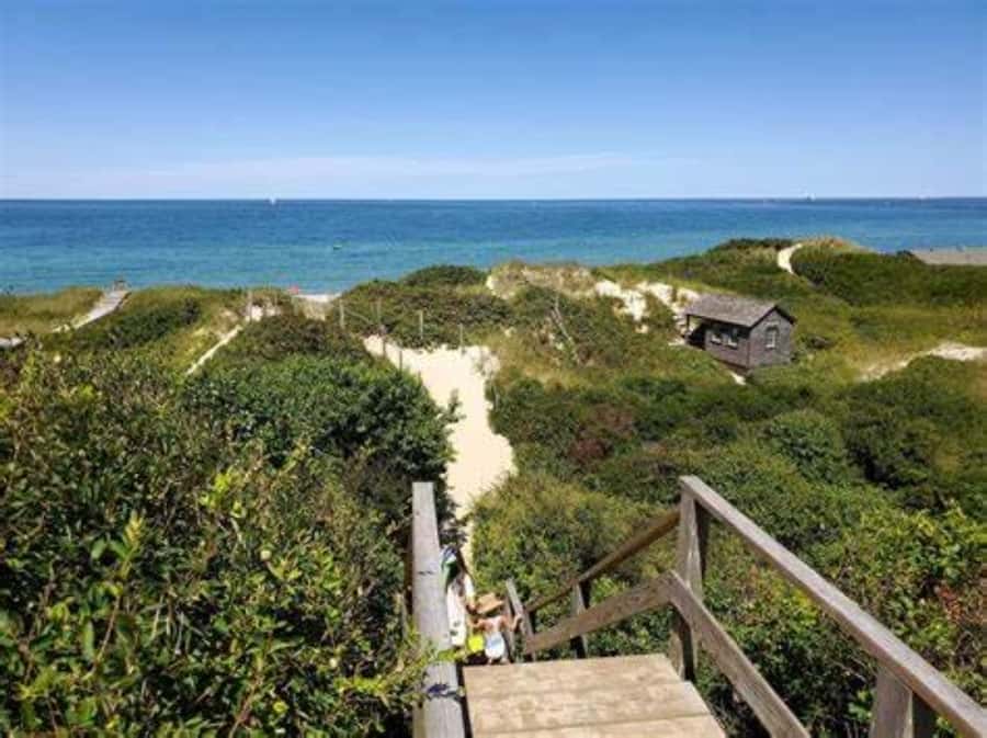 Nantucket: Guided Bike Tour - Brandt Point Lighthouse, jetties, and Galley beaches