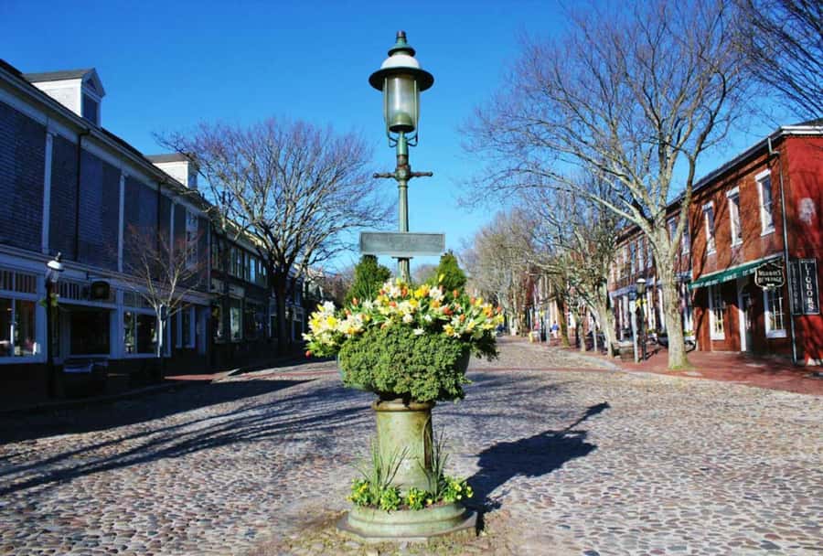 Nantucket: Guided Scenic Island Driving Tour - Whaling Money, Whale Oil, and the Main Street Mansions