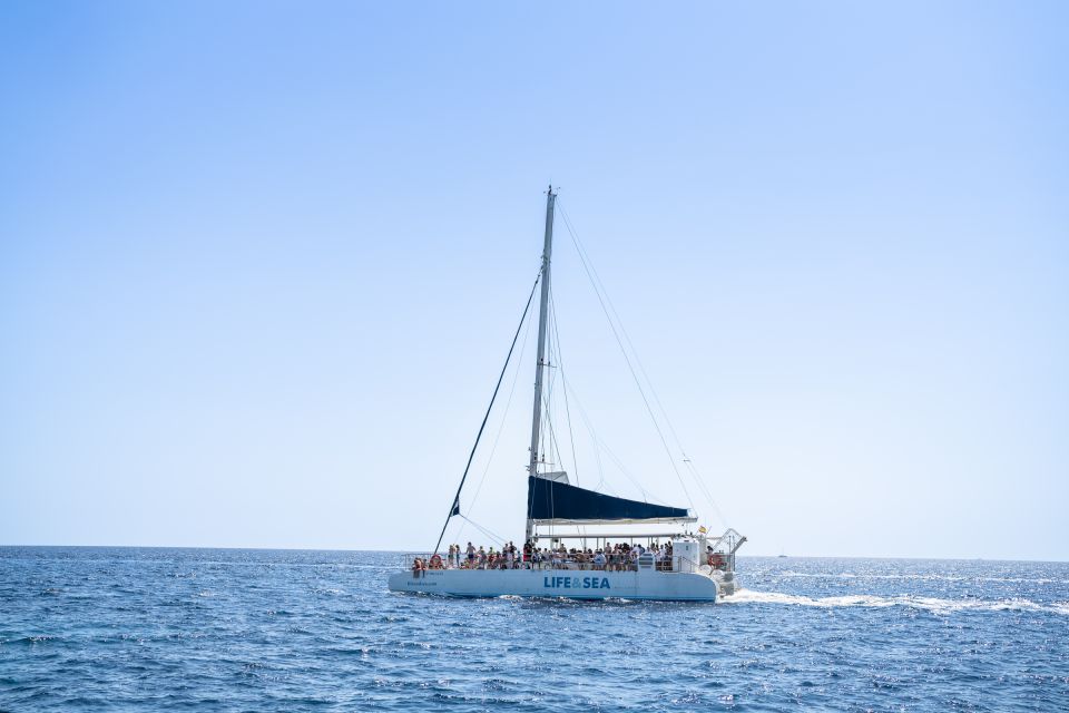Palma: Catamaran Cruise with Swimming and Snorkelling - Cap Enderrocat and Cala Vella: protected coves for big scenery