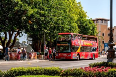 Palma de Mallorca: City Sightseeing Hop-On Hop-Off Bus Tour - Price and value: what $40 really buys (and when it’s worth more)