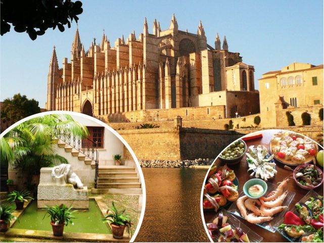 Palma de Mallorca: Guided Tour of the Old Town - Key highlights you should care about