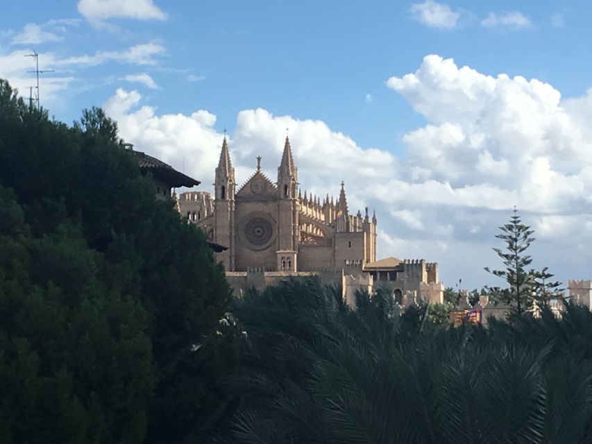 Palma de Mallorca: Guided Tour of the Old Town - Why this Palma old-town tour works in just 2 hours