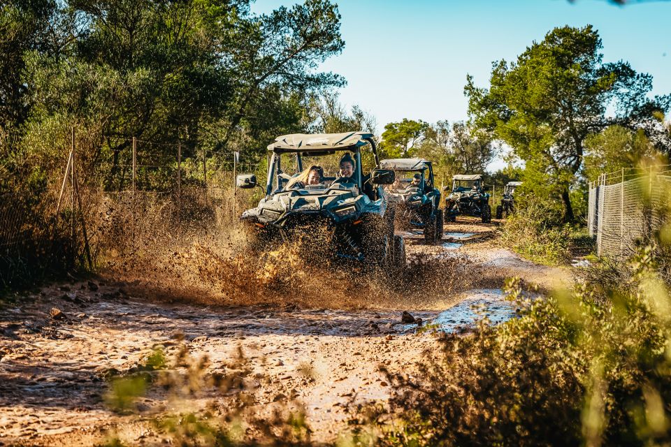Palma de Mallorca: Off/On Road Buggy Tour with 2 or 4 Seater - The 542-meter pause: 30 minutes of 360º Mallorca views