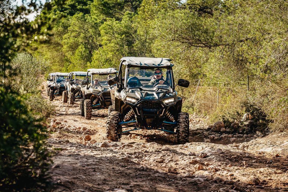 Palma de Mallorca: Off/On Road Buggy Tour with 2 or 4 Seater - Price and value: what you’re really paying for
