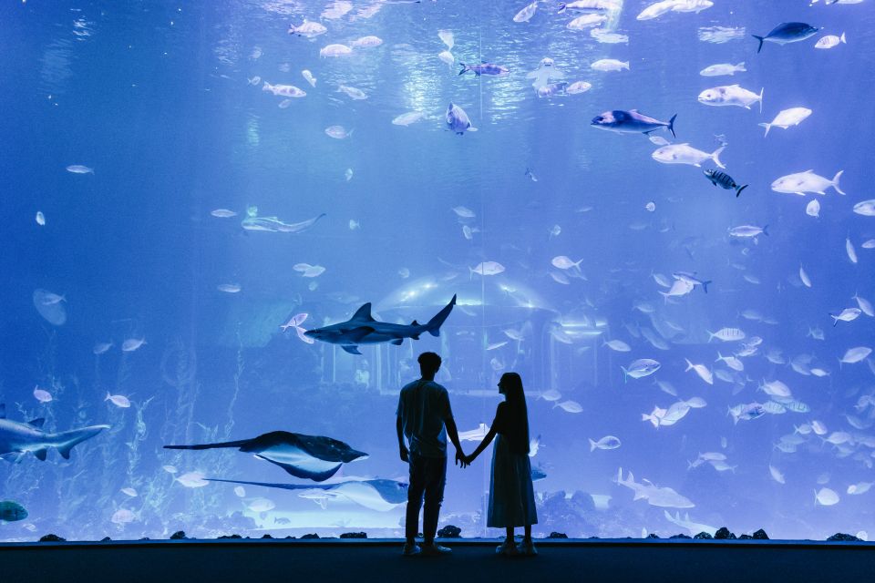 Poema del Mar Skip-the-Line Ticket - Poema del Mar in real life: ocean worlds in one walk