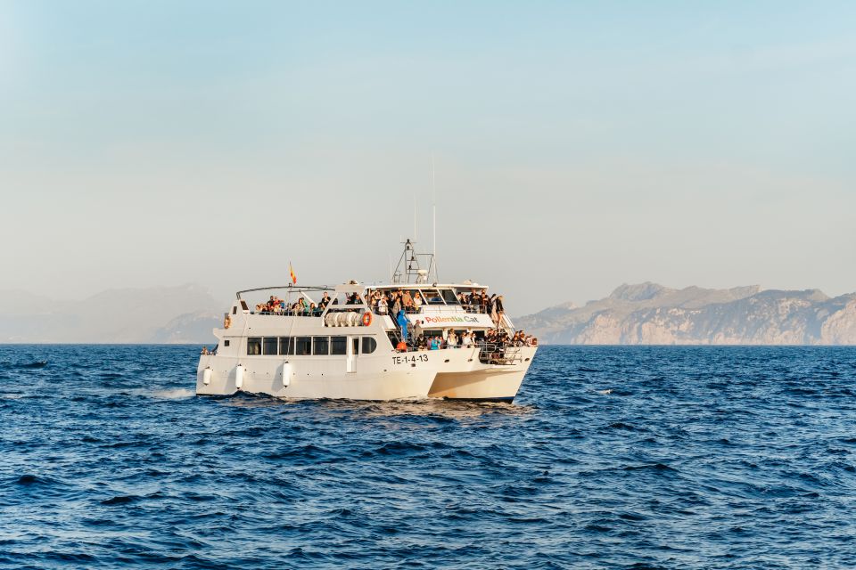 Port d'Alcudia: Sunrise at Sea & Dolphin Watching Boat Tour - The First Hour on the Catamaran: Dark Water, Starry Sky, and Calm Music