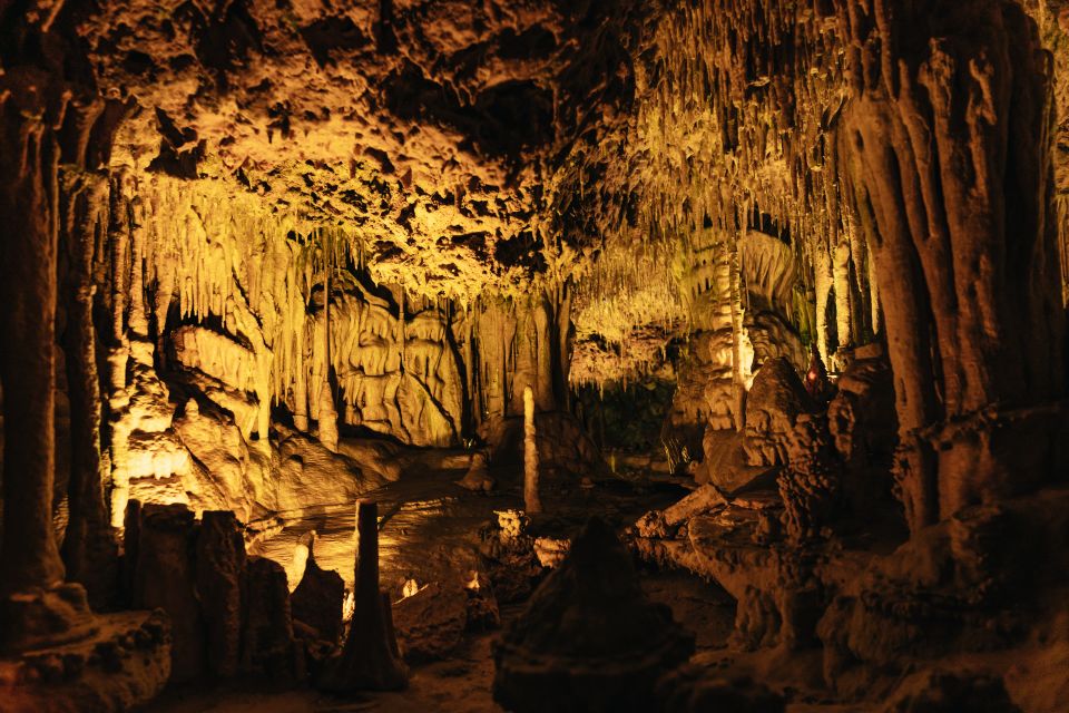 Porto Cristo: Caves of Hams Entry Ticket - Magical Mozart on The Sea of Venice: the show you’ll remember