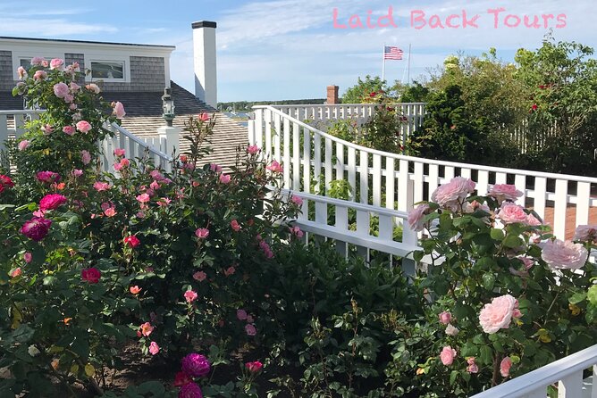 Private, Guided Sightseeing Tour of Marthas Vineyard Island(3hrs) - Should you book this 3-hour private Vineyard tour?