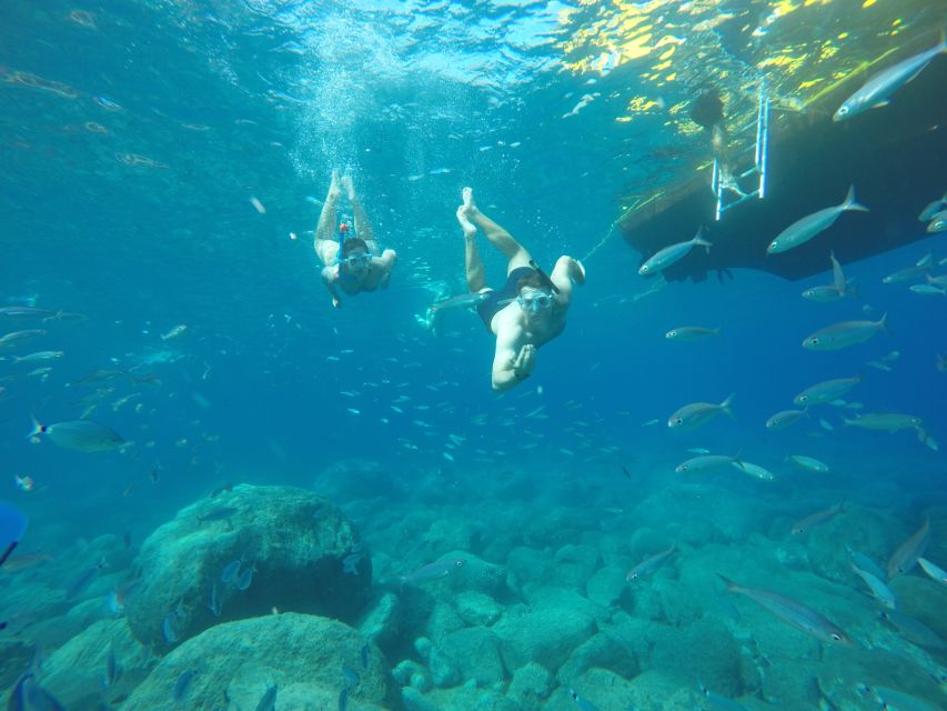 Puerto de Mogan: Boat and Snorkeling Trip - El Perchel Snorkeling: How the 1.5-Hour Swim Really Plays Out