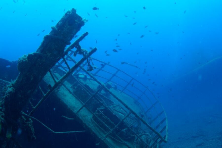 Puerto de Mogán: Submarine Tour - Key things I’d zero in on