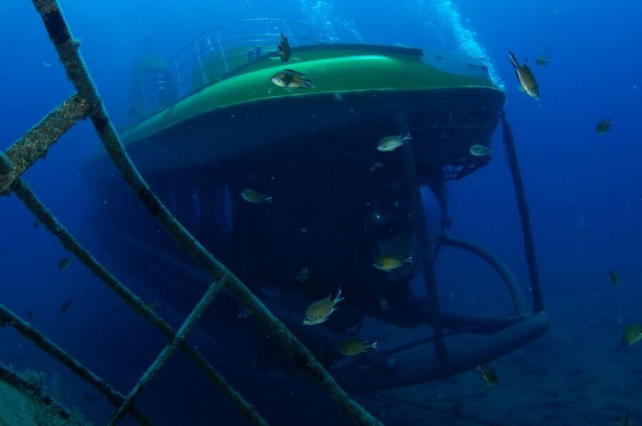 Puerto de Mogán: Submarine Tour - Golden Shark in Puerto de Mogán: what the experience feels like