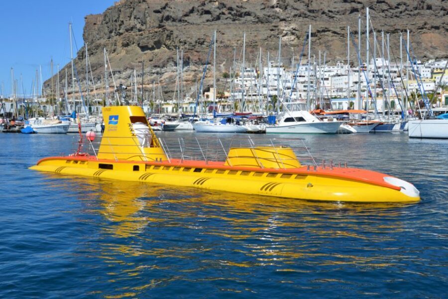 Puerto de Mogán: Submarine Tour - Shipwrecks and seabed structures: the real reason people love this