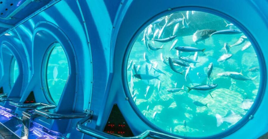 Puerto de Mogán: Submarine Tour - Audio guide and onboard screens: how you stay oriented