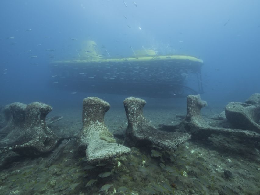 Puerto de Mogán: Submarine Tour - Who this tour suits best (and who should think twice)
