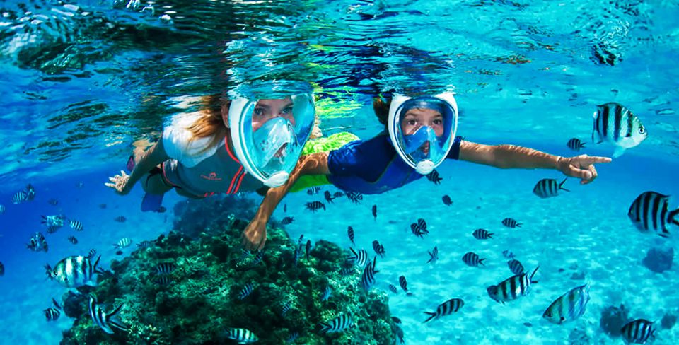 Puerto del Carmen: Dolphin-Watching Speedboat Tour with Swim - Should You Book This Puerto del Carmen Dolphin Speedboat With Swim?