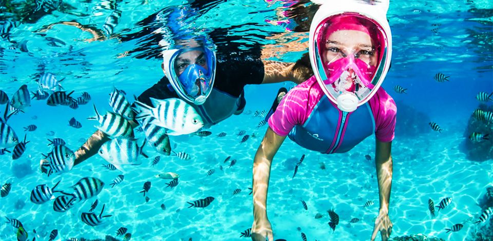 Puerto del Carmen: Dolphin-Watching Speedboat Tour with Swim - On the Water Fast: Biosfera Jet and Lanzarote’s Southeast Coast