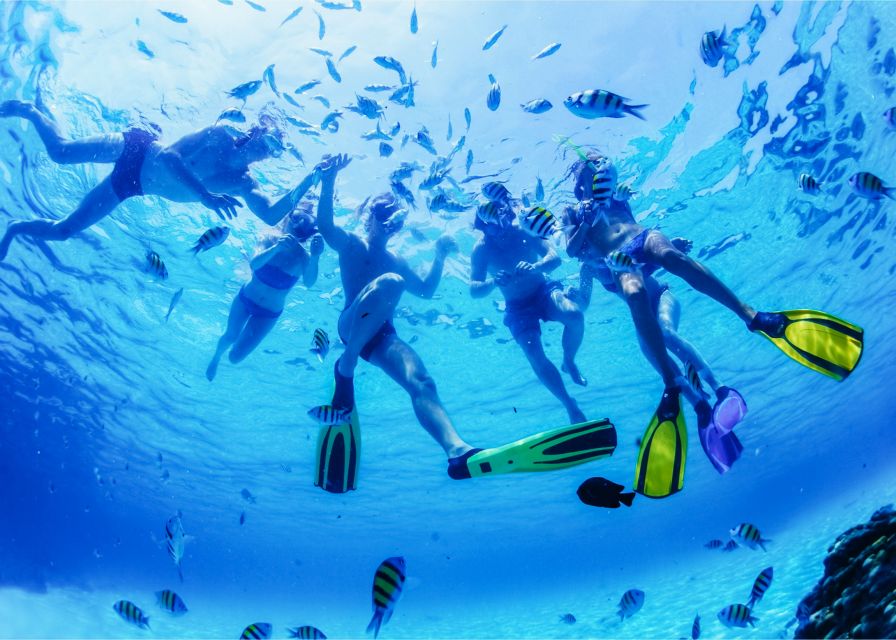 Puerto del Carmen: Dolphin-Watching Speedboat Tour with Swim - Itinerary, Timing, and What You’ll Feel During Each Phase