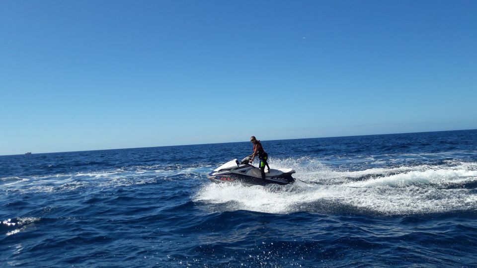 Puerto Rico de Gran Canaria: Jetski Tour - Wildlife and a quick stop for sea time: what to expect on the water