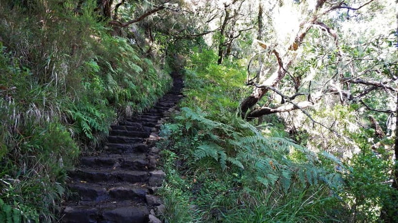 Rabaçal: 25 Fontes & Risco Levada Transfer Self-guided Hike - Key highlights worth caring about