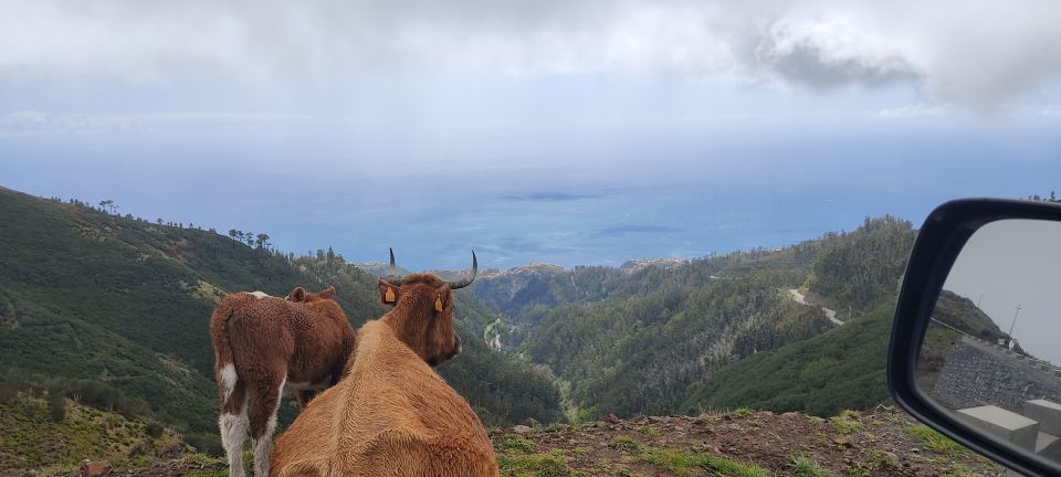 Rabaçal: 25 Fontes & Risco Levada Transfer Self-guided Hike - Weather on Madeira: plan like it might change hourly