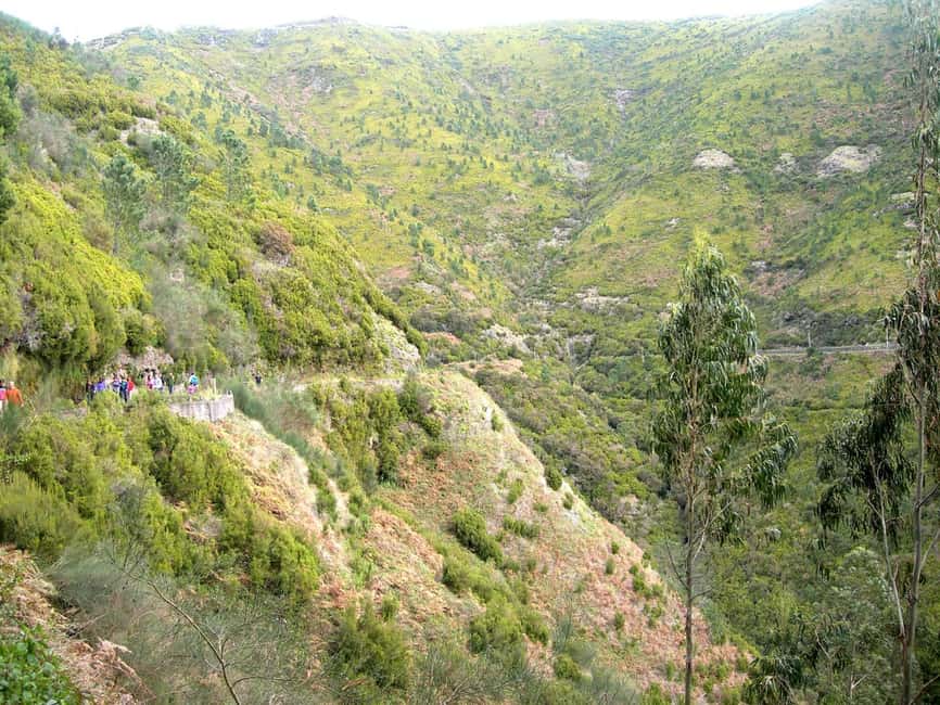 Rabaçal: 25 Fontes & Risco Levada Transfer Self-guided Hike - Rabaçal and Madeira’s levadas: why this day feels different