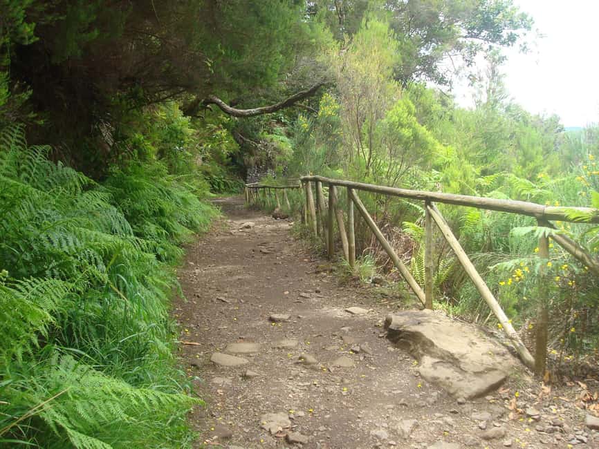 Rabaçal: 25 Fontes & Risco Levada Transfer Self-guided Hike - Your 5-hour plan inside Rabacal Park