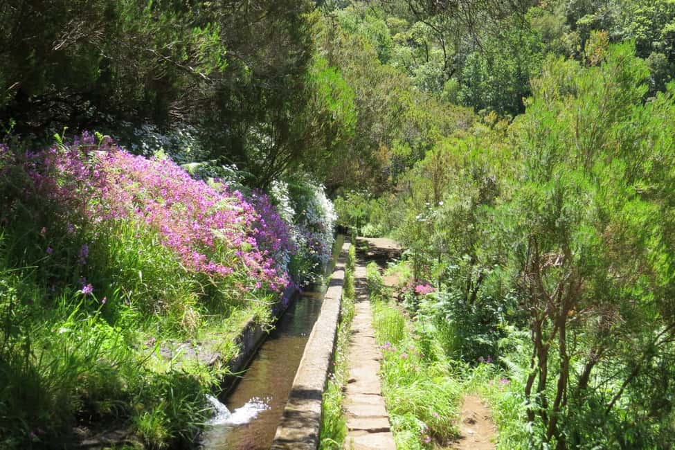 Rabaçal: 25 Fontes & Risco Levada Transfer Self-guided Hike - Risco Levada: shorter trail, huge feel