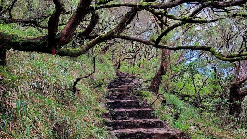 Rabaçal: 25 Fontes & Risco Levada Transfer Self-guided Hike - Trail logistics that can make or break your day