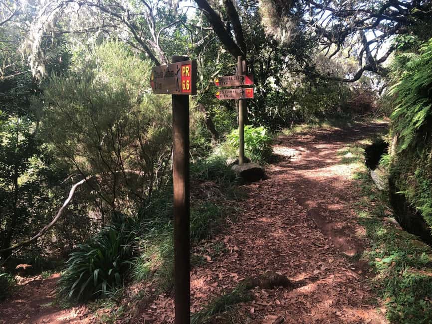 Rabaçal: 25 Fontes & Risco Levada Transfer Self-guided Hike - When to start: beating the crowds is real work
