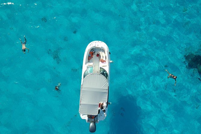 Reef Discovery Half Day Group Signature Tour - Quick hits before you go
