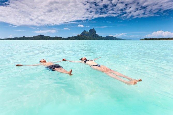 Reef Discovery Half Day Group Signature Tour - Price and value: is $143.27 a fair deal?
