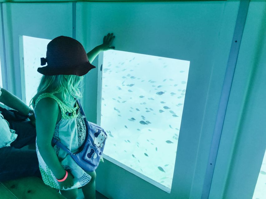 Rhodes Town: Submarine Cruise with Underwater Views - The marine life viewing window: what you actually see