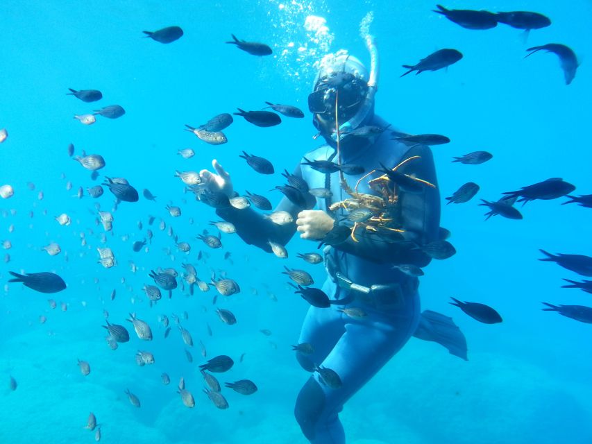 Rhodes Town: Yellow Submarine Cruise with Underwater Views - Rhodes Bay in 45 Minutes: The Route and What Each Stop Adds