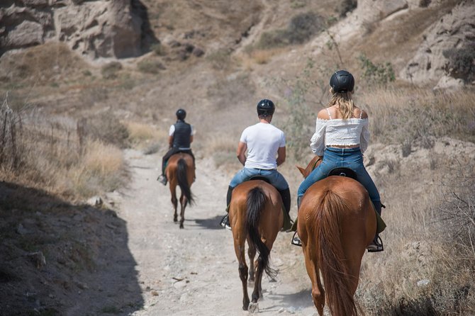 Santorini Horse Riding to Black Sandy Beach - Price and Value: Is $102.79 Worth It?