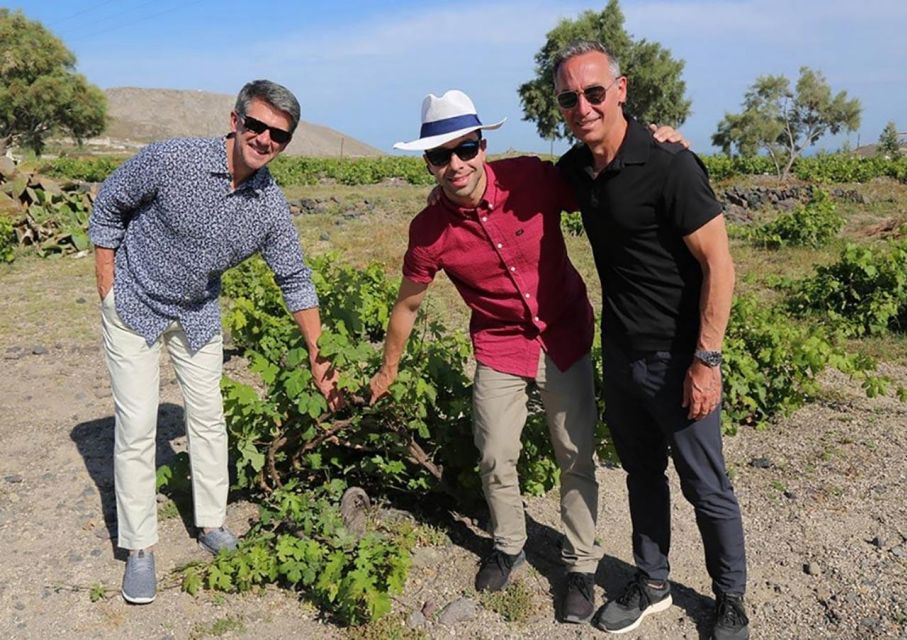 Santorini: Small-Group Sunset Wine Tour with Santo Winery - Key things I’d plan around before you go