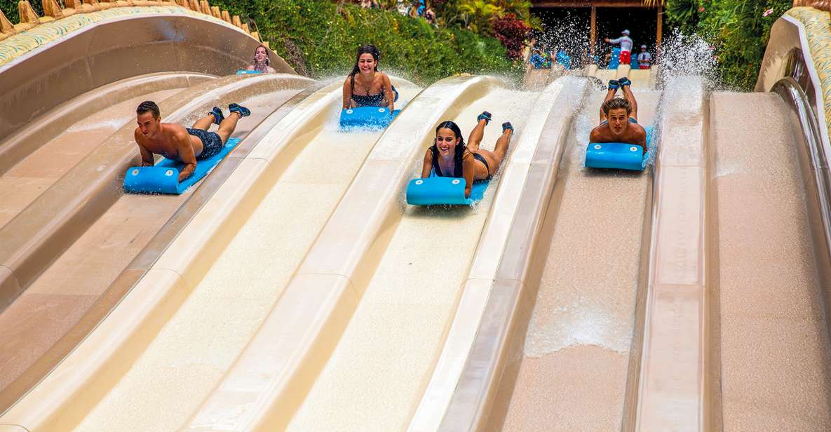 Siam Park Entry Tickets - Arriving and getting inside: sea lions and your first hour plan