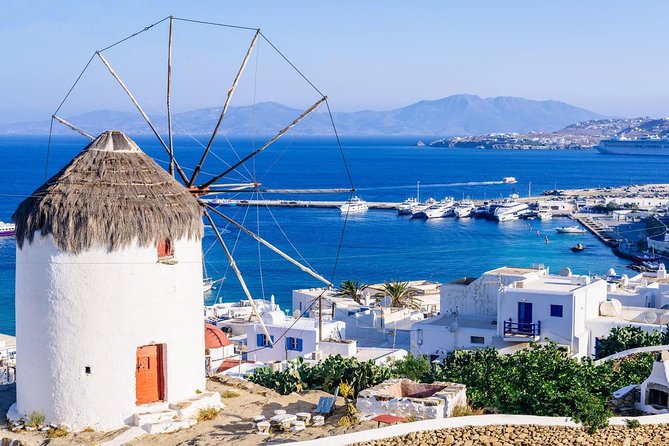 Sightseeing like a Mykonian(Small Group or Private) - Key highlights worth planning for