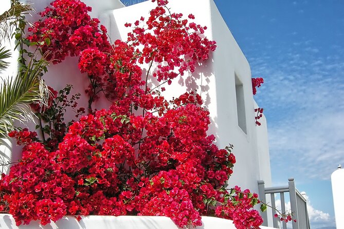 Sightseeing like a Mykonian(Small Group or Private) - Kalafatis beach time: swim, relax, and snack like you belong