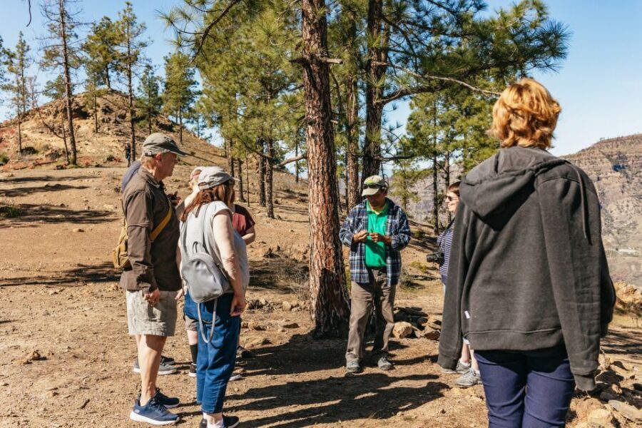 South Gran Canaria: Off-Road Valleys & Villages Jeep Tour - Pickup, Timing, and Getting to the Starting Point Fast