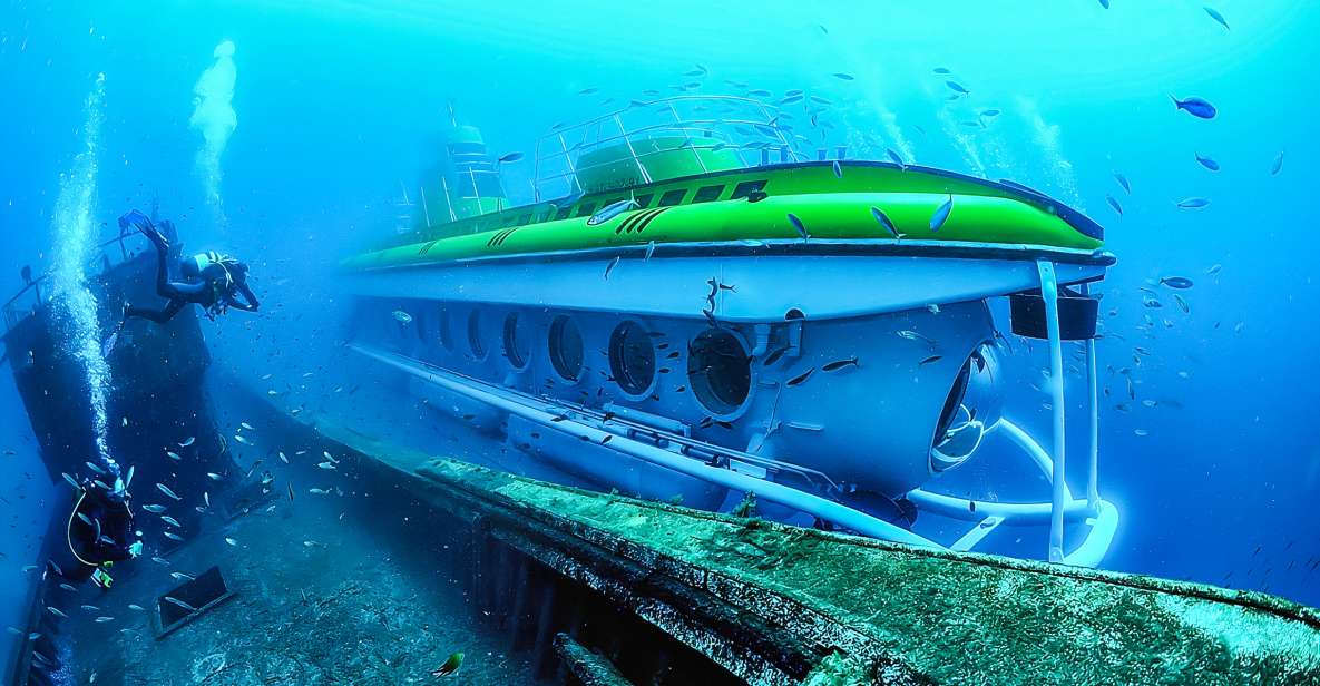 Southern Tenerife: 50-Minute Submarine Dive - Southern Tenerife Submarine Reality: What Makes This One Special