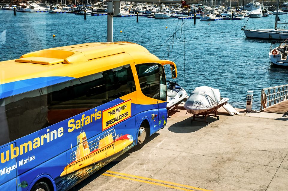 Southern Tenerife: 50-Minute Submarine Dive - Getting On Board Sub Fun Cinco: Seats, Windows, and Sound
